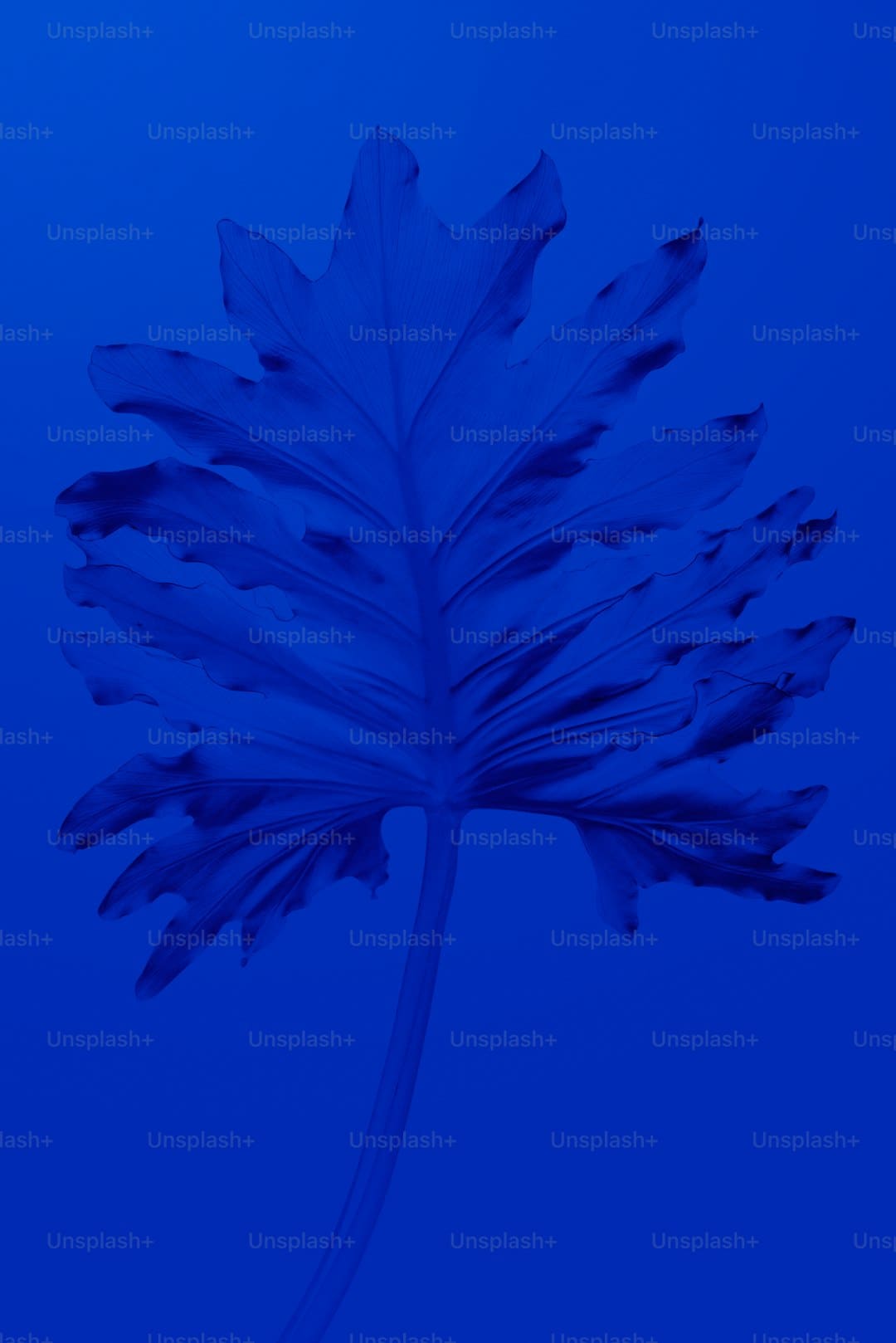 http://n.sinaimg.cn/news/transform/w600h400/20180313/r1NF-fyscsmu9317817.jpg?zdy